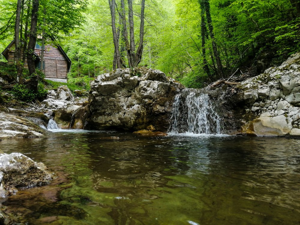 Photograph by Snežana Janković