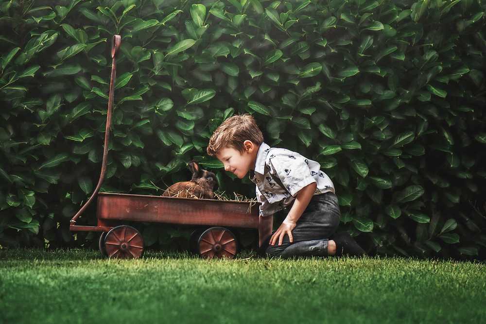 Photograph by Roisin Gregory