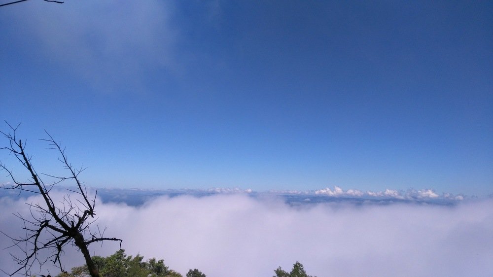 Fog can cover anything