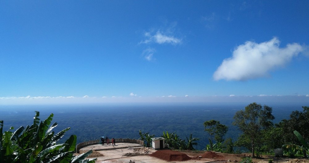 Fog can cover anything