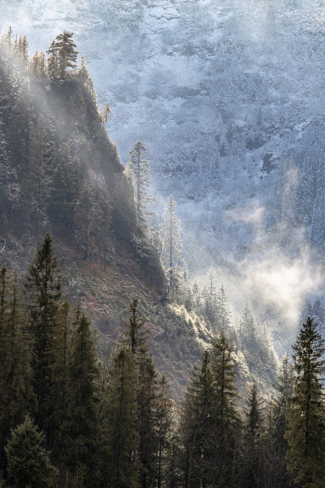 Photograph by Marcin Nalepka