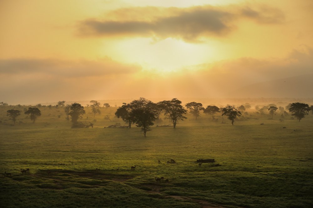 Photograph by Ольга Петруша