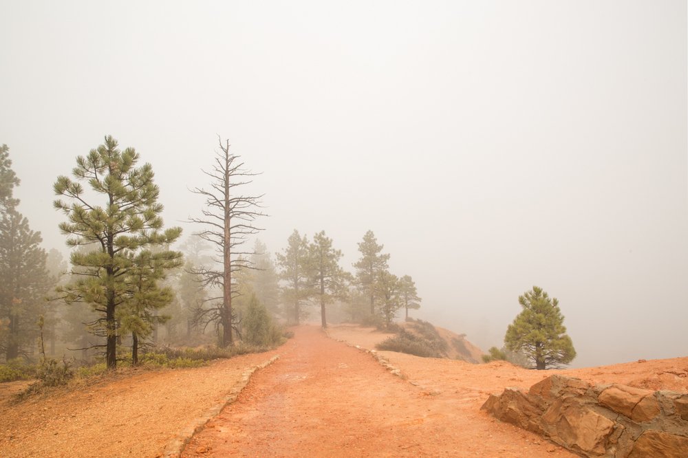 Photograph by Ольга Петруша