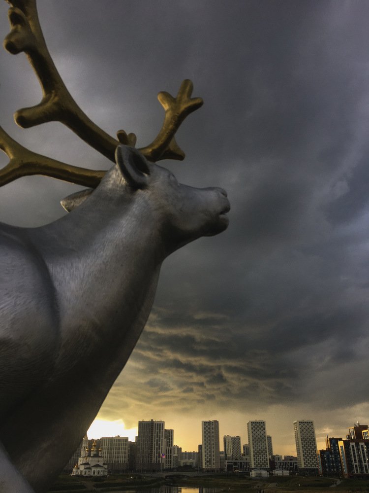 Photograph by Дарья Кузьминых