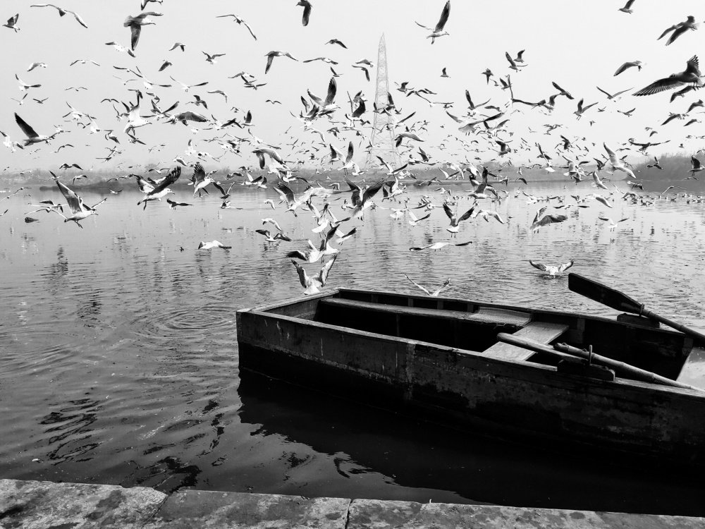 Photograph by Shramana Ghosh