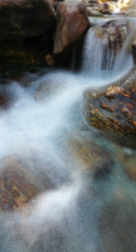 Photo #4722840