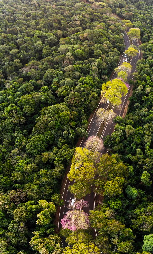 Photograph by Cléber Vinicius Demori