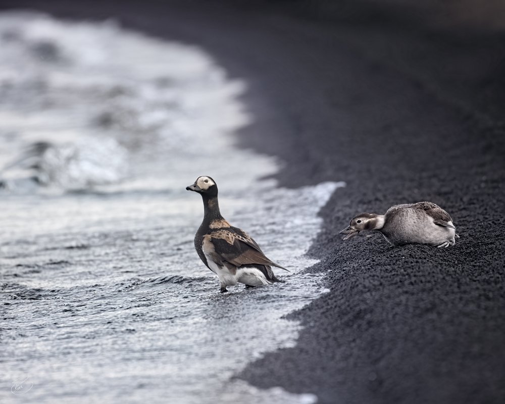 Photograph by Bragi Kort