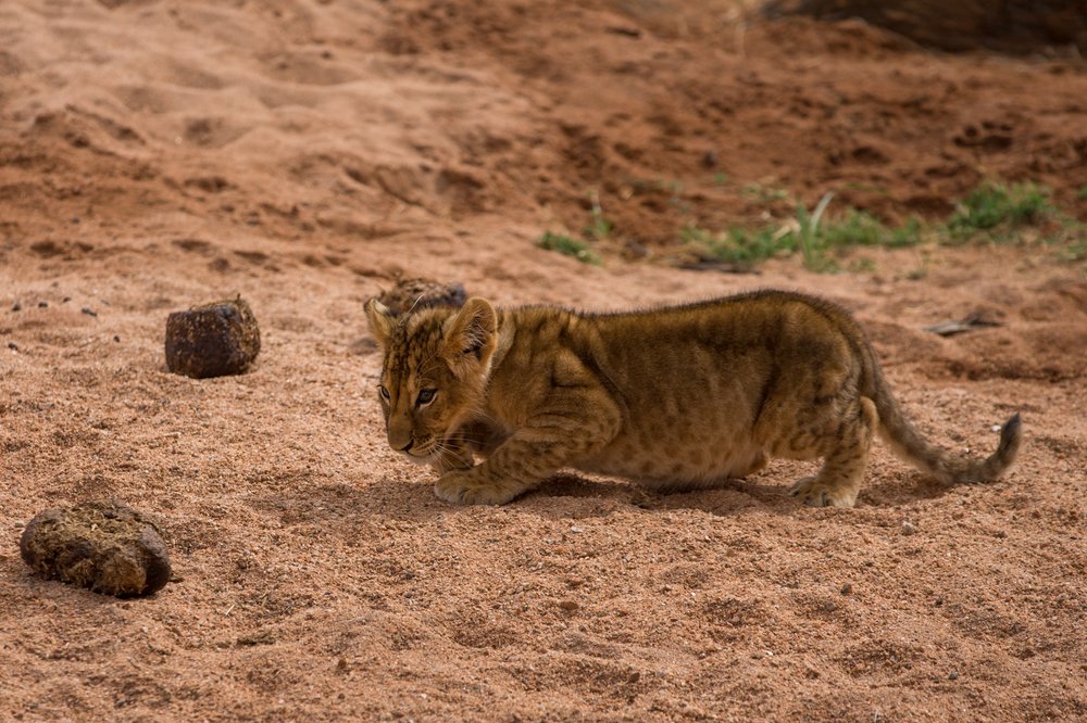 Photograph by Ольга Петруша