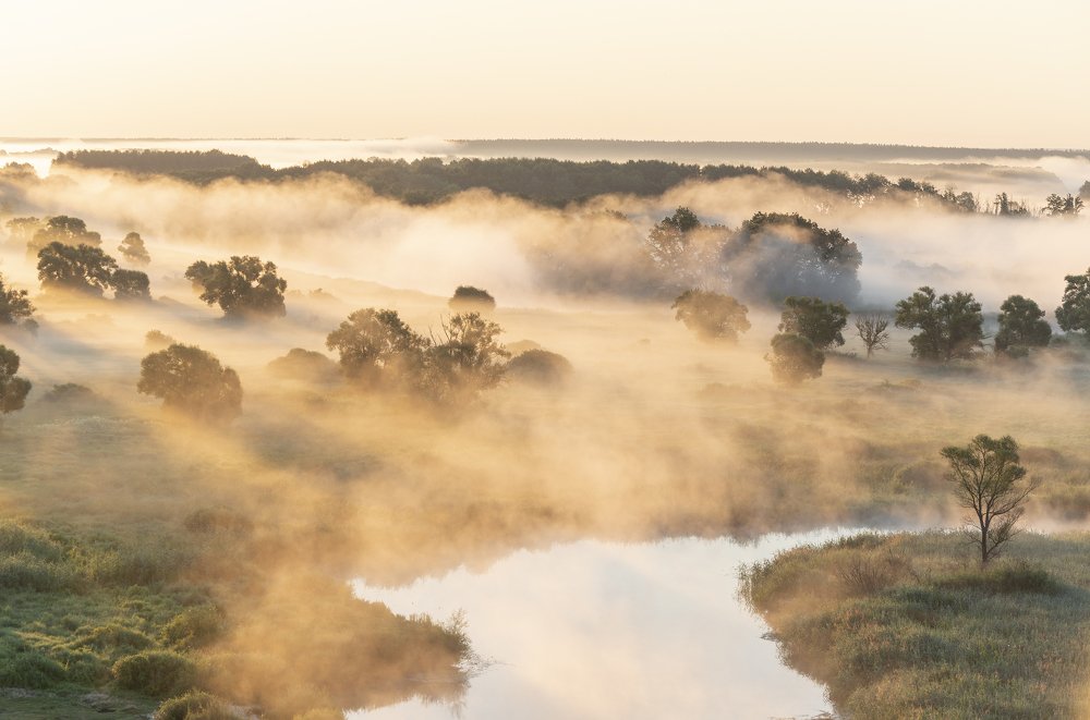 Photograph by Дмитрий Новоселов