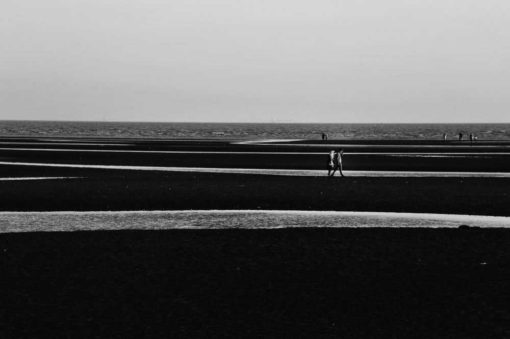 Photograph by Seyyed Mostafa Seyyedalhoseini
