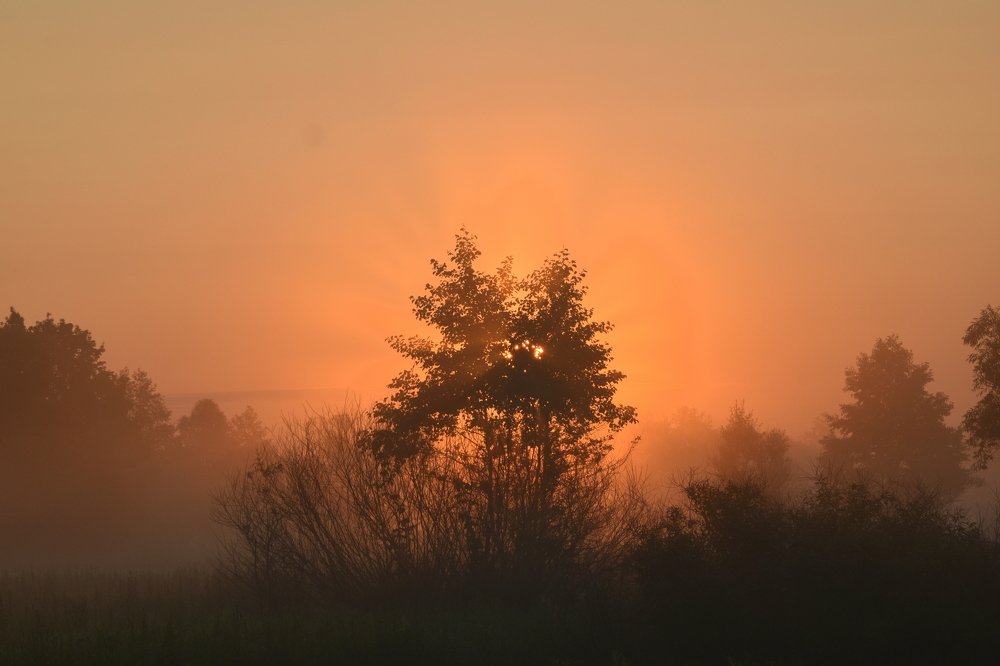 Photograph by Татьяна Калугина