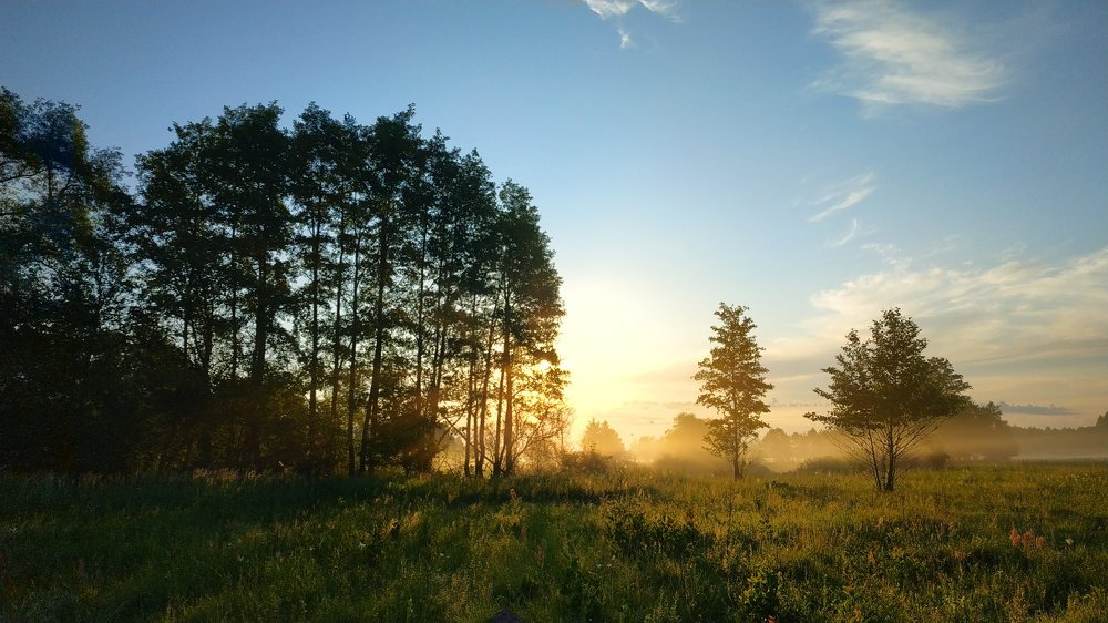 Лето - это...