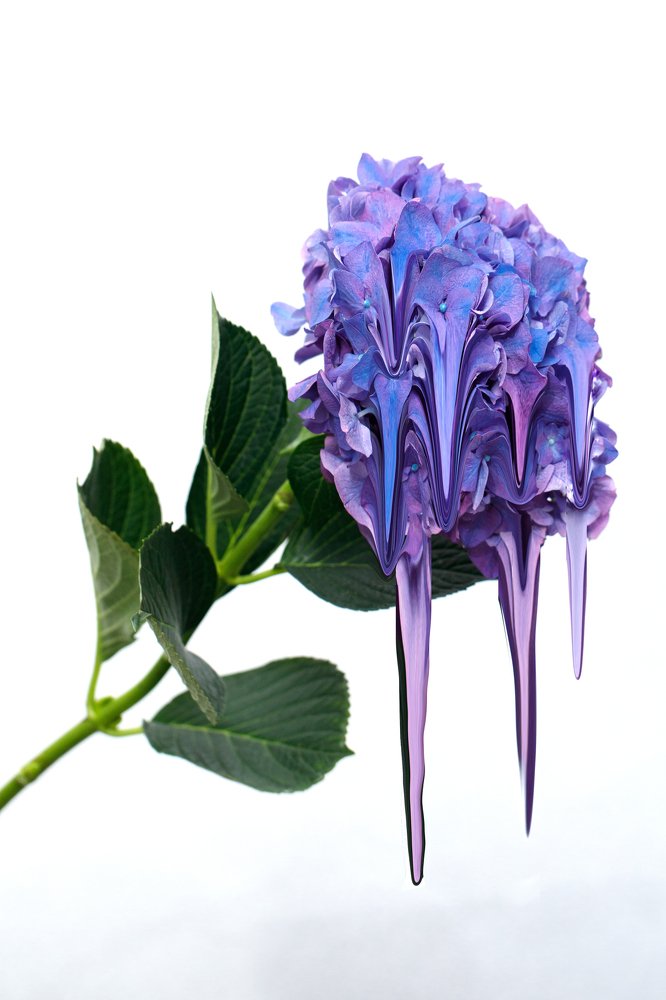 Photograph by Агарков Алексей