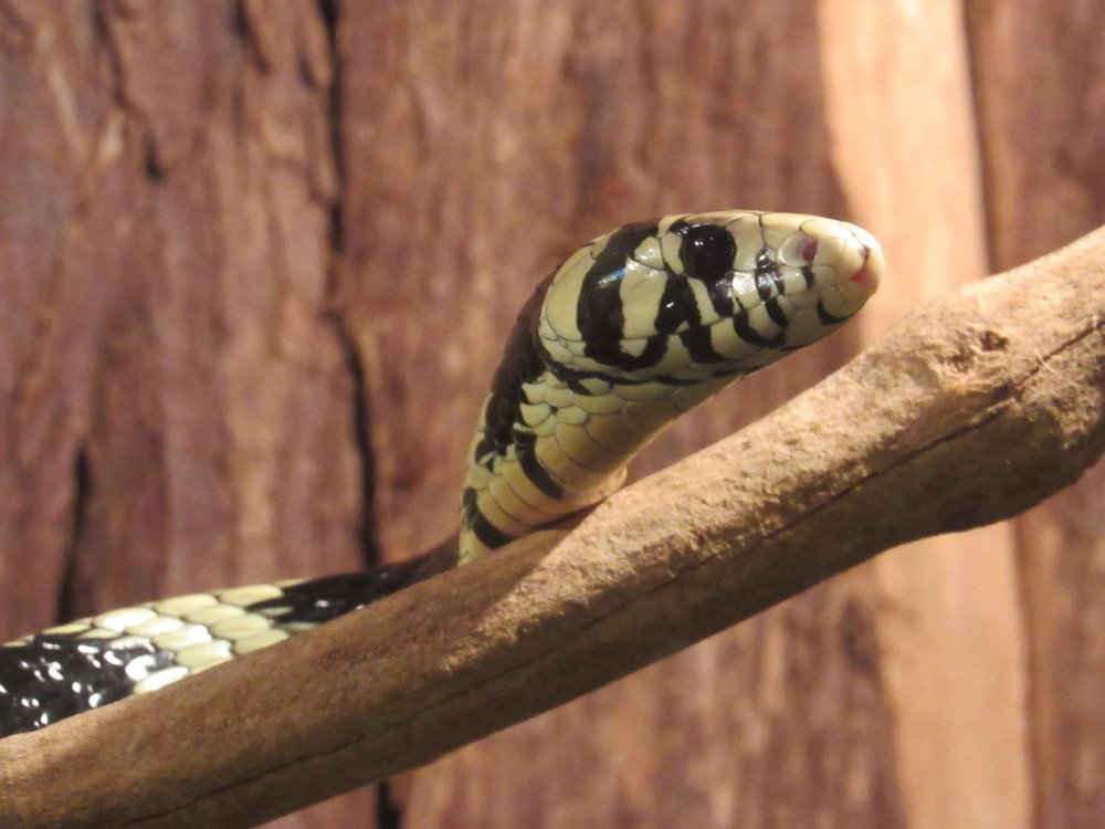 Photograph by Willian Izzi