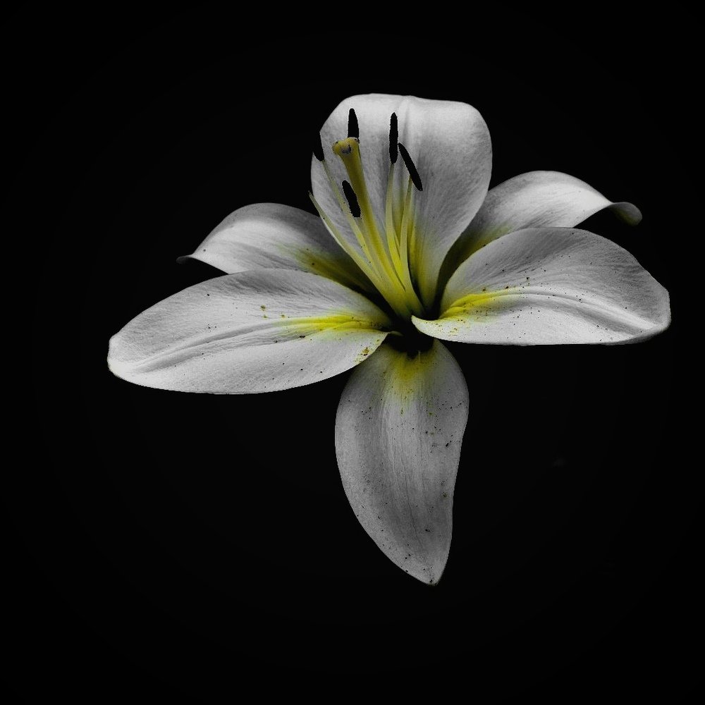 Photograph by Tabit Rodica