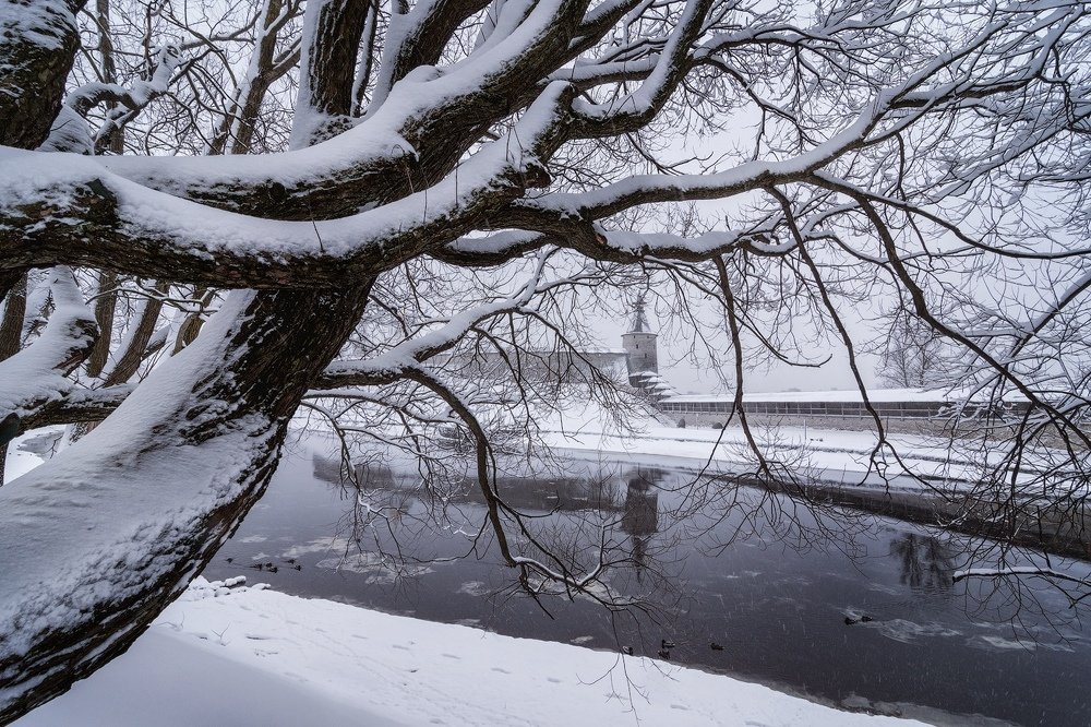 Фотография автора Майя Афзаал