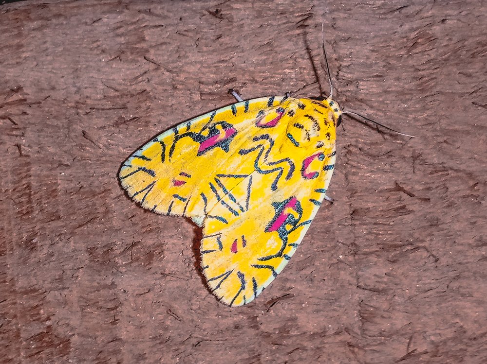 Photograph by Margaret Bertram Robert