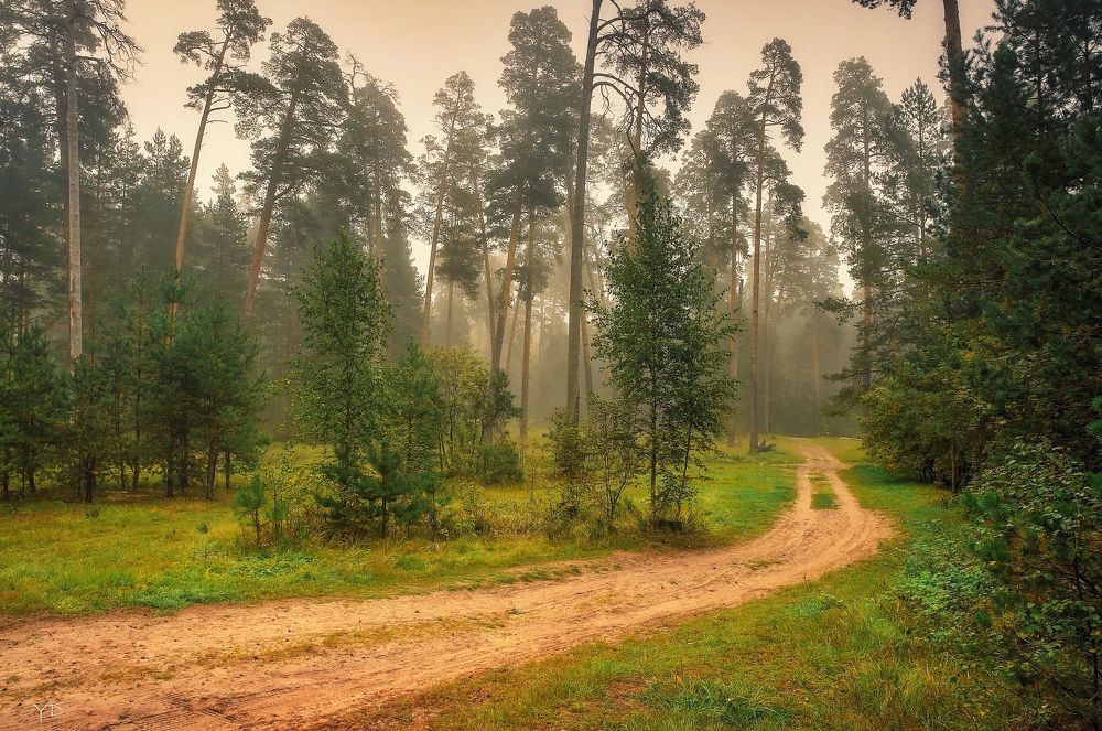 Photograph by Дмитрий Янтарев