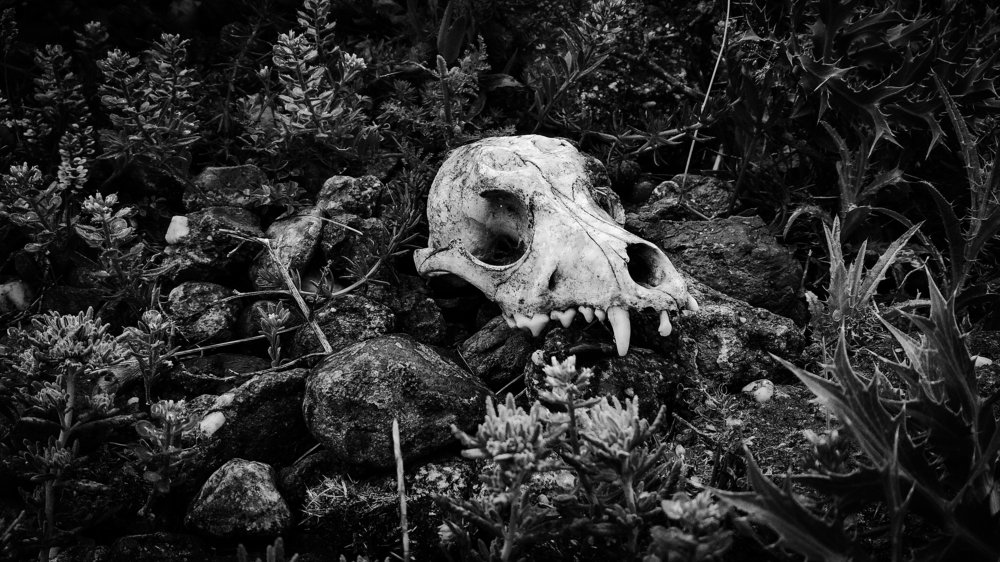 Photograph by Артём