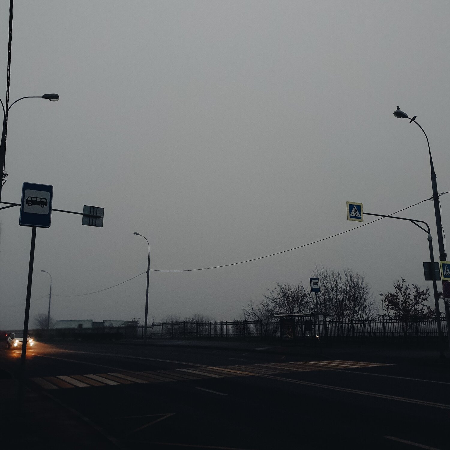 Photo #4723474