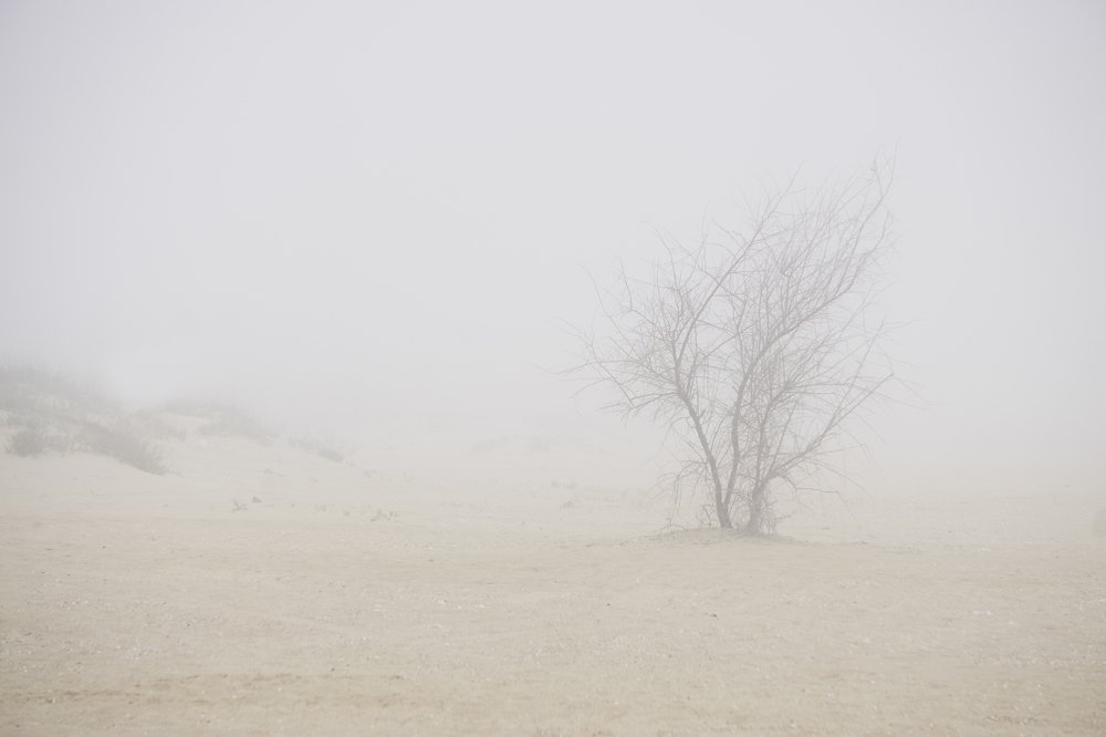 Photograph by Екатерина Ким