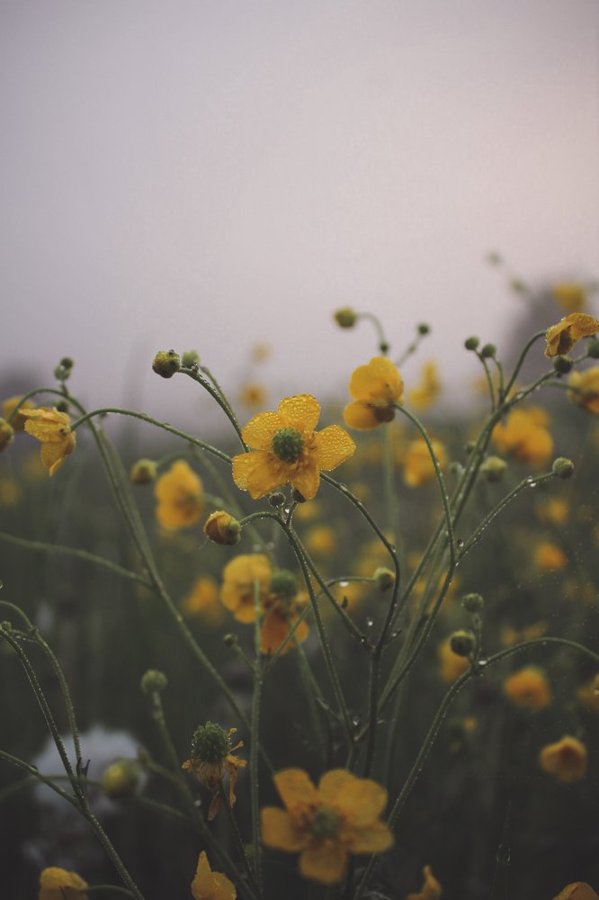 Photograph by Дина Нагимова