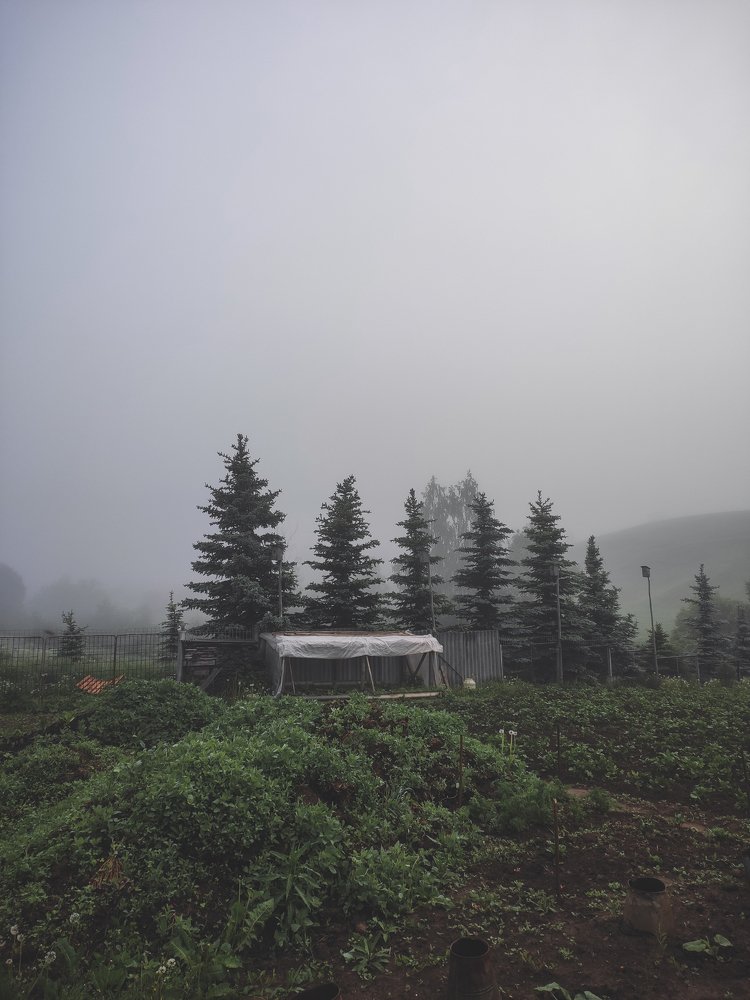 Photograph by Дина Нагимова