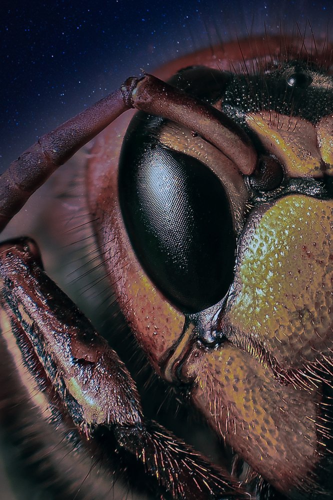 Photograph by Алексей Козлов