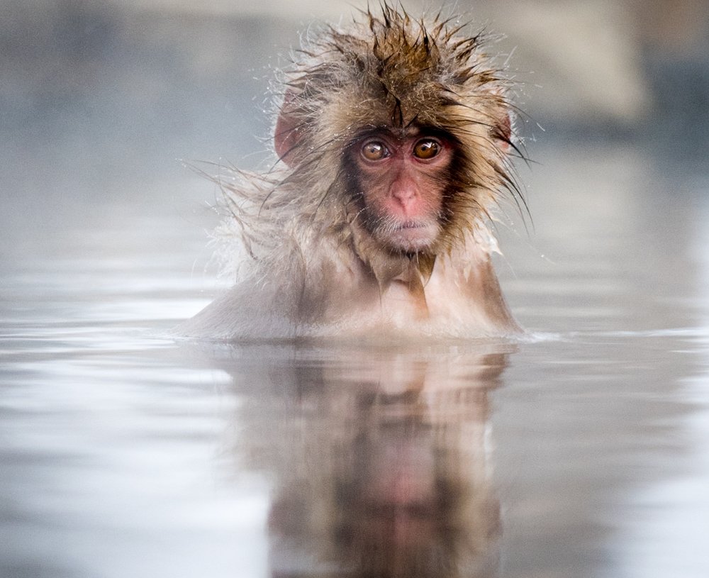 Photograph by Maurice Leung