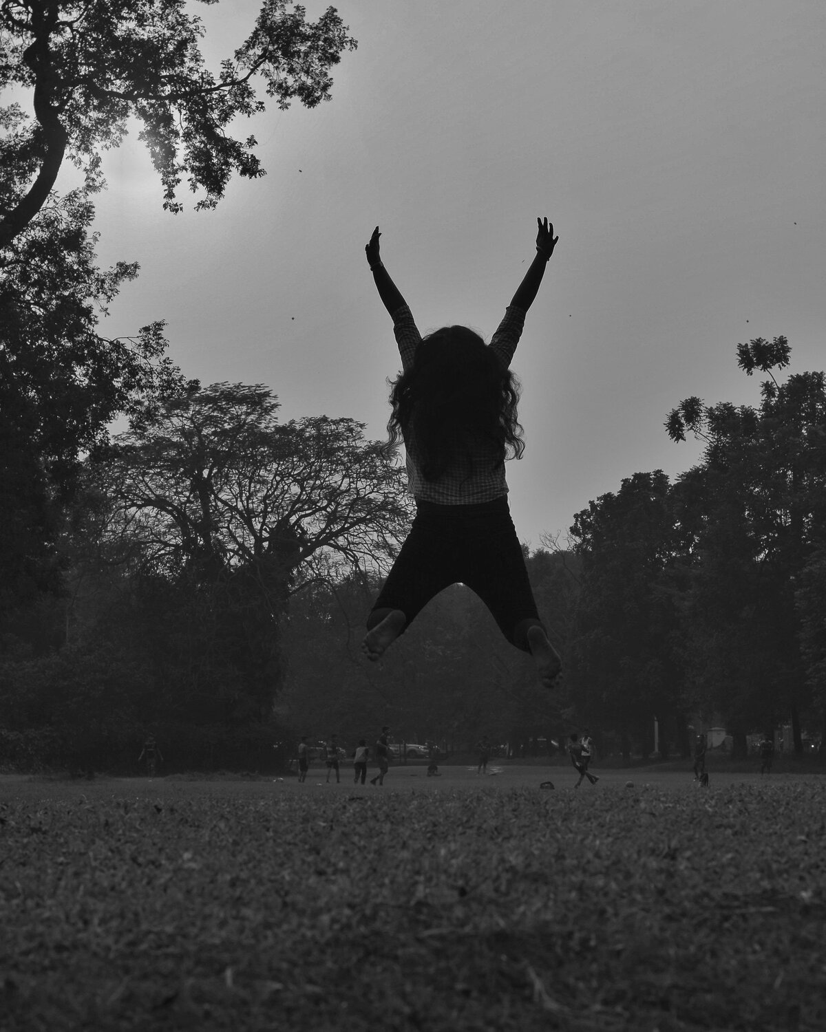 Photo #4723646