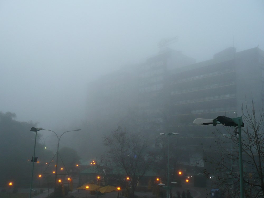 Photograph by Willian Izzi