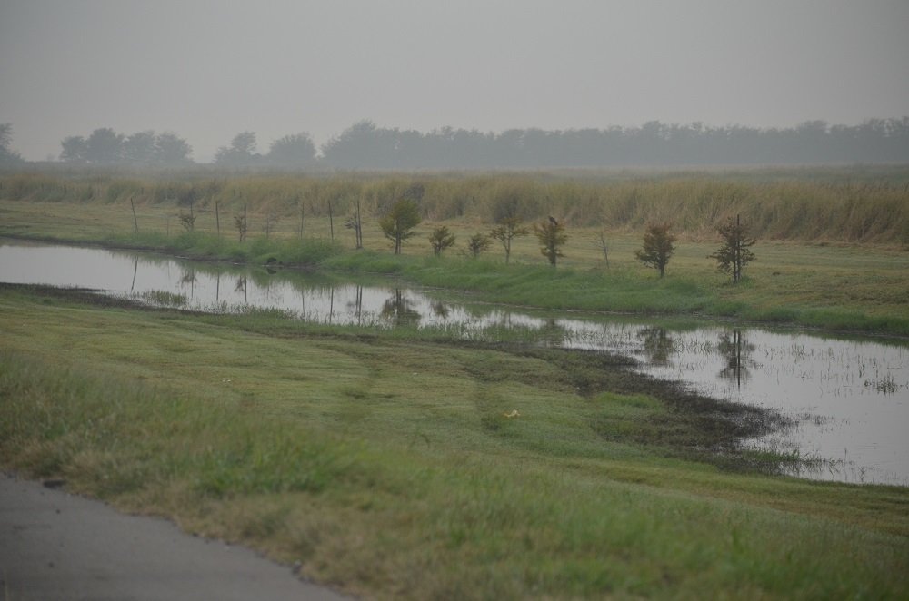 Photograph by María del Luján Tunes