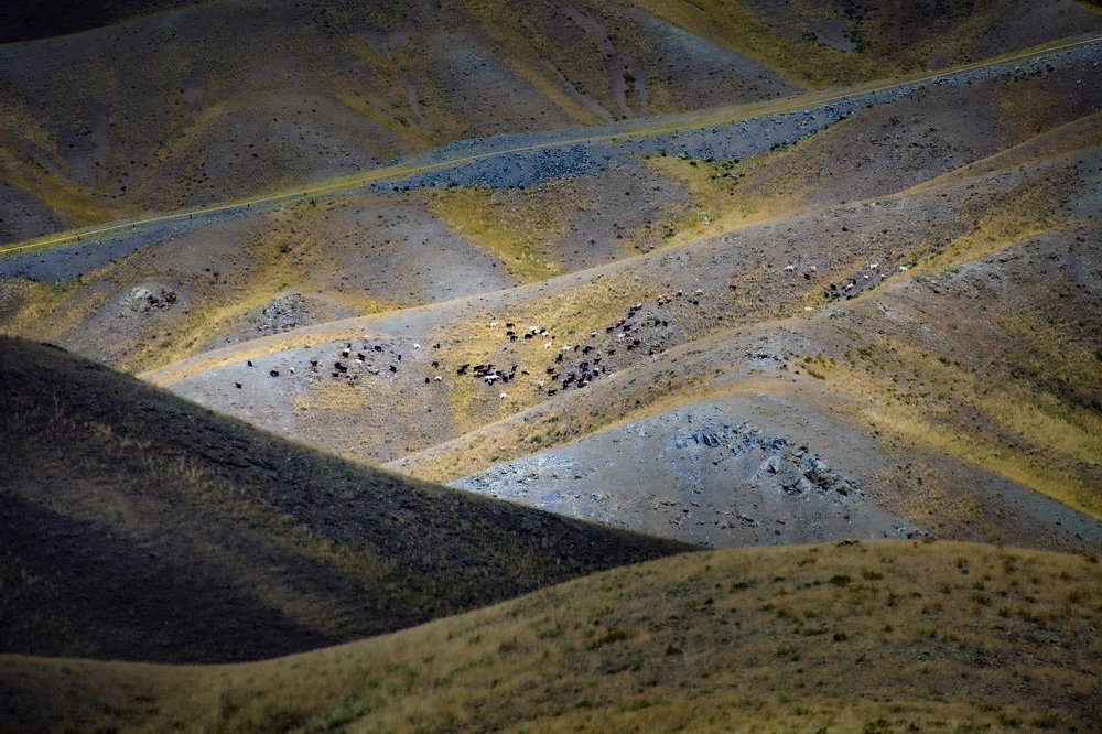 Photograph by петр чиков