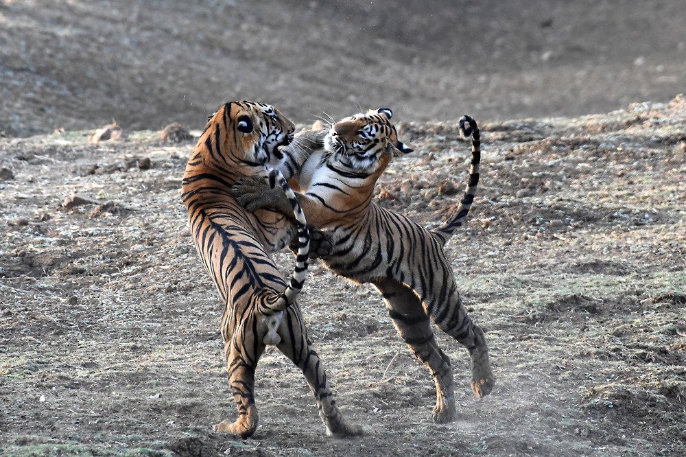 Photograph by SACHIN MATKAR