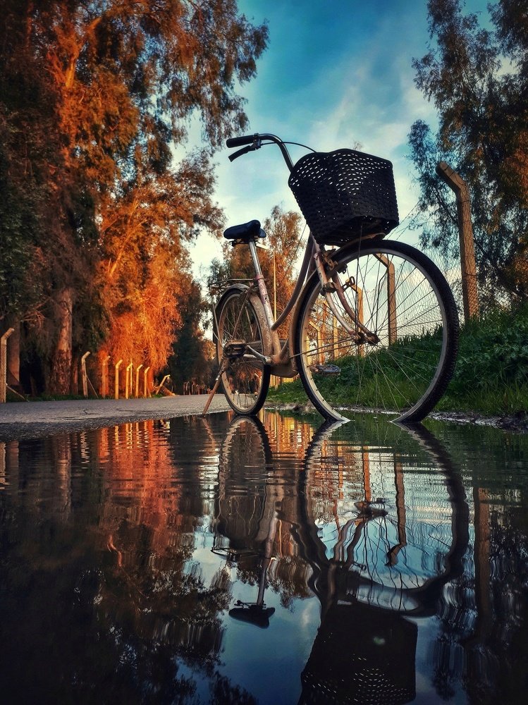 Photograph by Ahmad Shihab