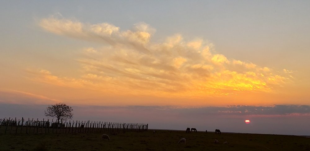 Photograph by Ezequiel Viñas