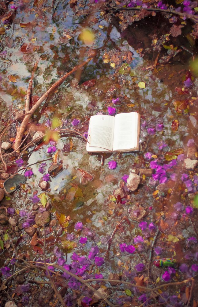 Photograph by Adrian Ramirez