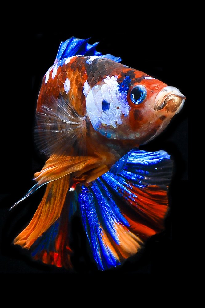 Photograph by Fahrul Rozy