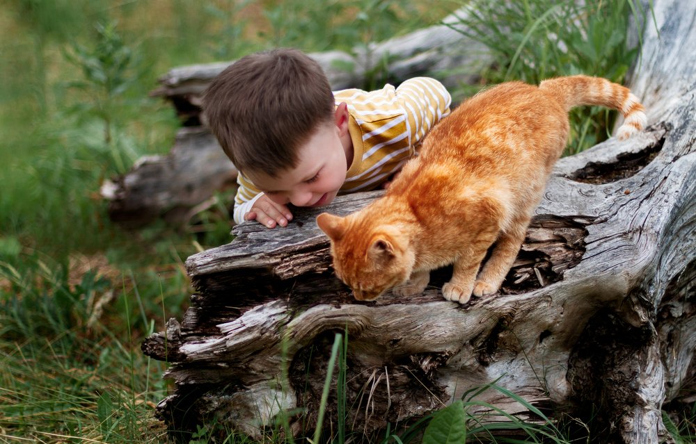 Photograph by Екатерина Овсянникова