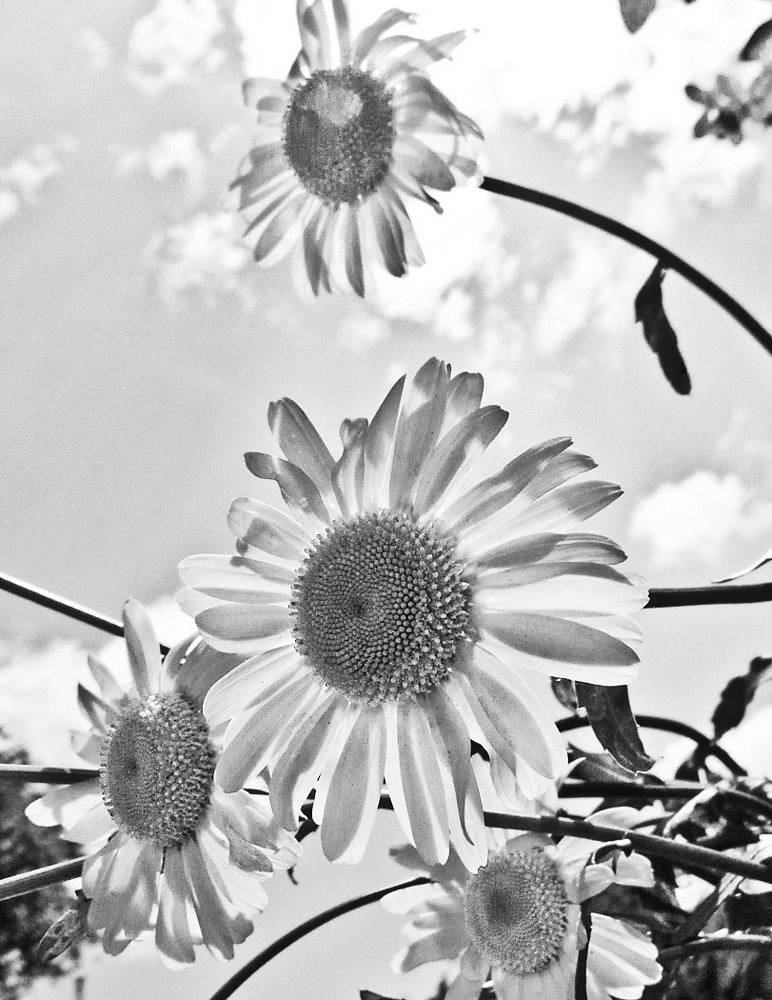 Солнышко для солнышек