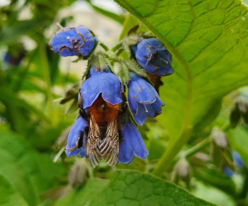 Ушел с головой в работу