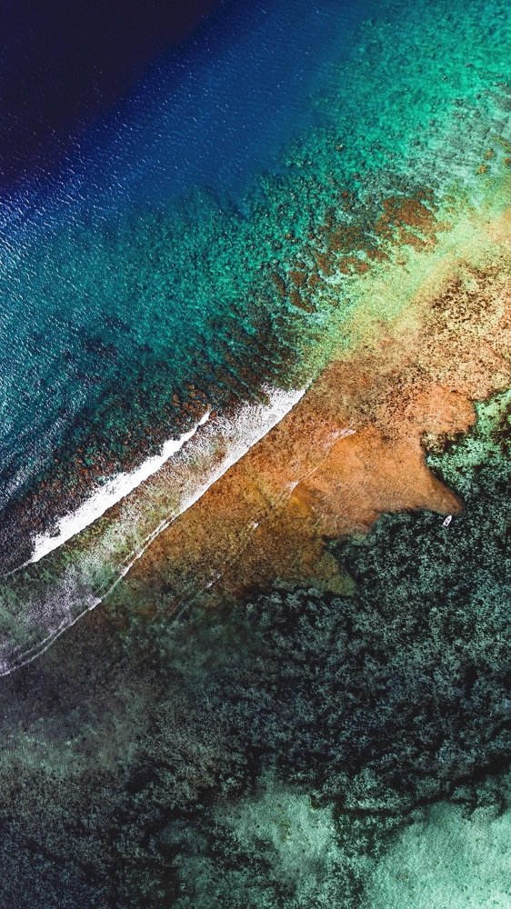 Photograph by LESIEUR Regis