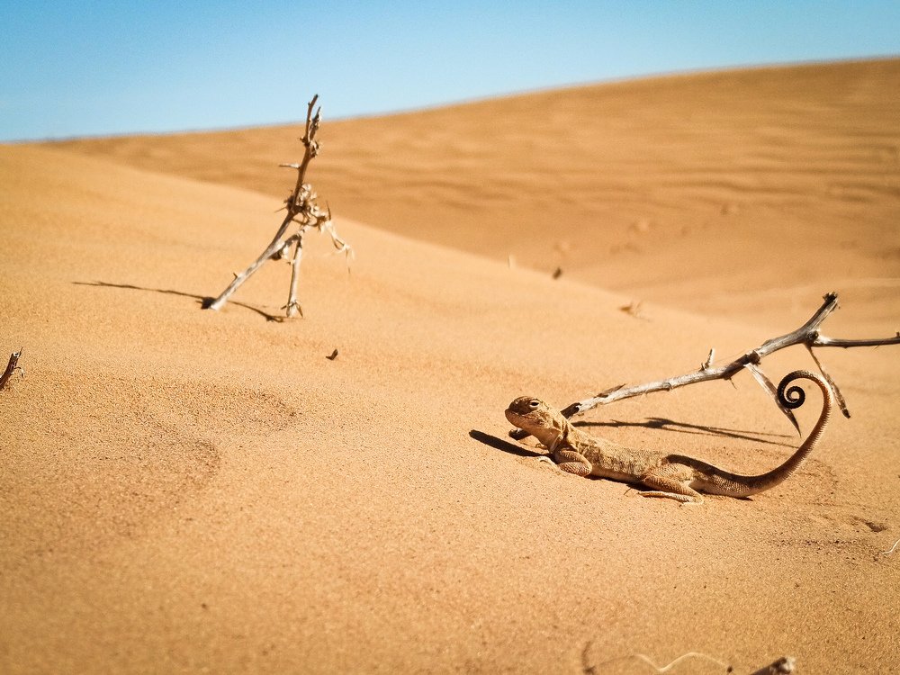 Photograph by Георгий Стукалов