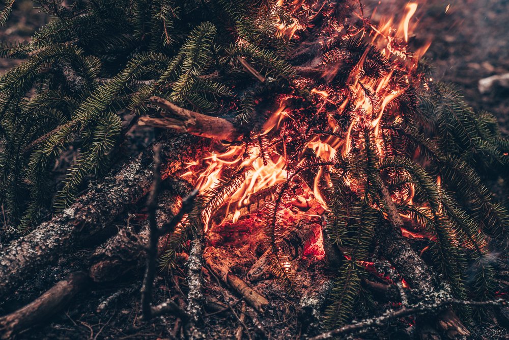 Photograph by Рита Февралева