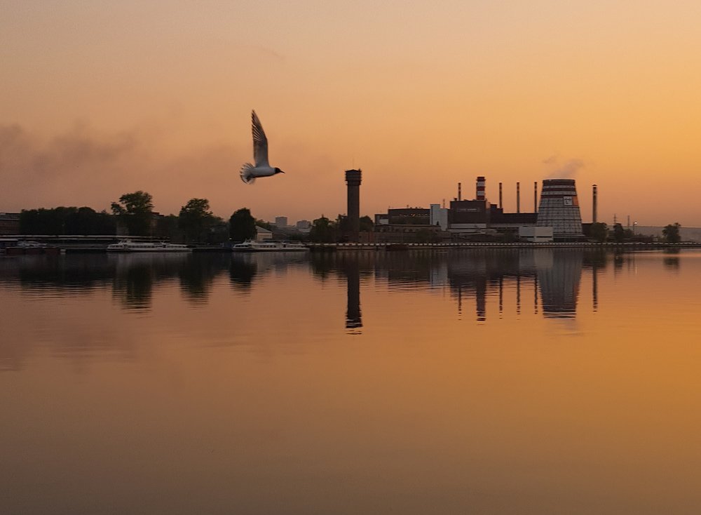 Photograph by Марина Горюнова