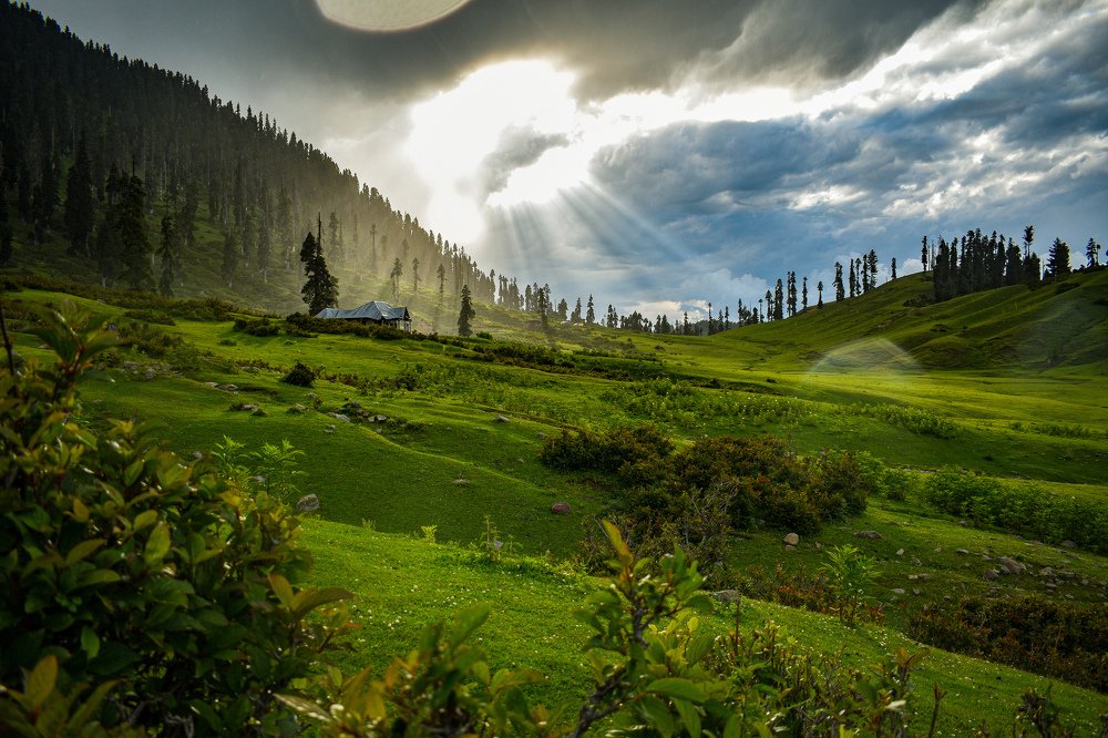 Photograph by Ilhaan Mir