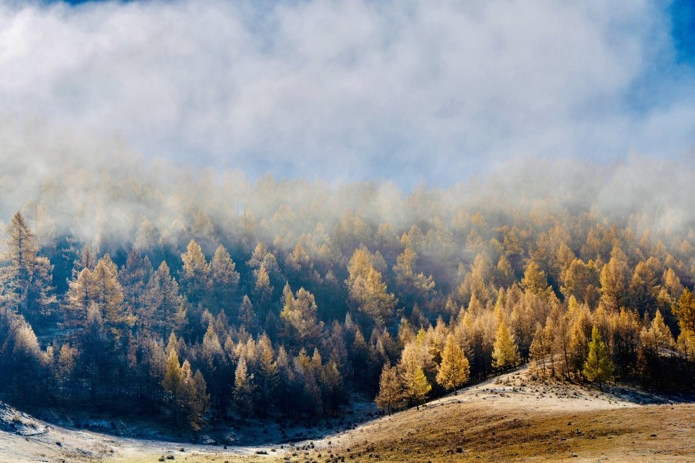 Алтай. Усть-Кан. Осеннее утро.
