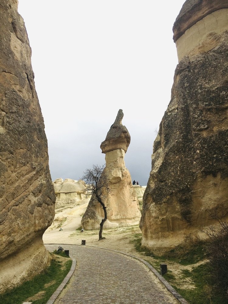 Фотография автора Олеся Алексеева