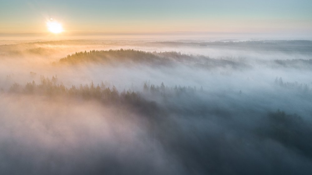 Photograph by Павел Трефилов